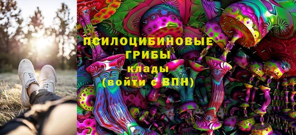 мдма Няндома