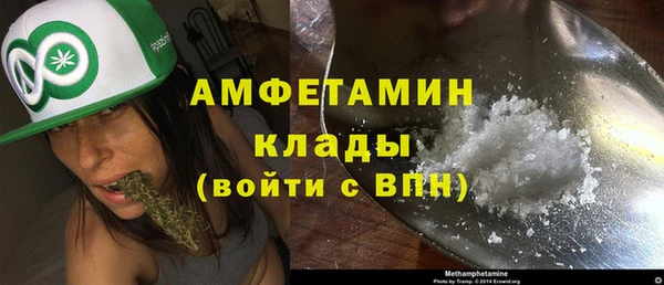 дмт Абаза