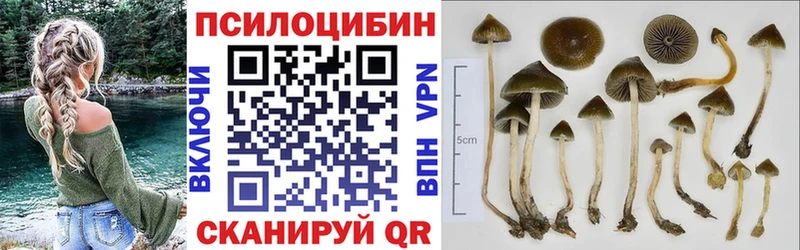 как найти   MEGA как войти  Галлюциногенные грибы прущие грибы  Чегем 